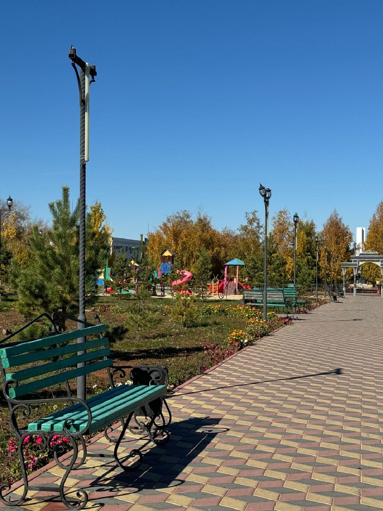 В целях благоустройства в центральном парке заменить скамейки и парковое освещение.