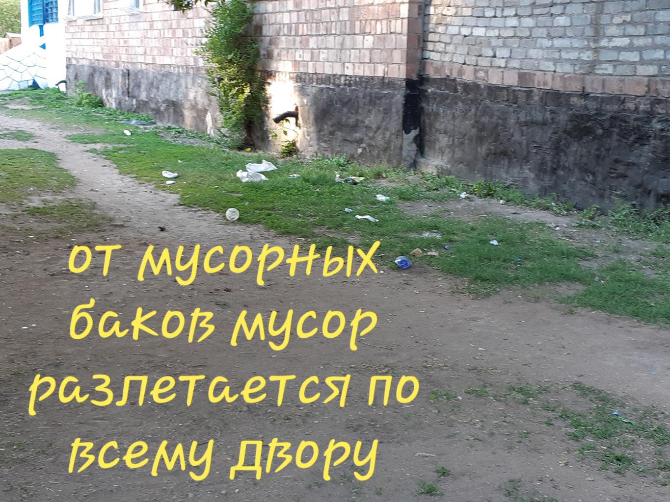 При сильном ветре лёгкий мусор разносится по всему двору (фото прилагается)