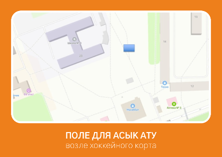 Устройство поля для асык ату по адресу: город Лисаковск, 3-возле хоккейного корта