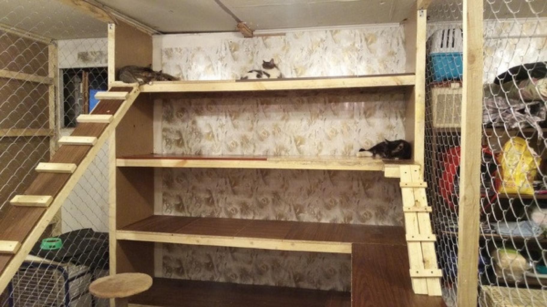 Приют «Домик для друга» оказывает помощь бездомным животным, предоставляя им кров, питание, лечение и заботу. На сегодняшний день в приюте проживает 68 собак разного возраста.
С каждым месяцем количество поступающих животных увеличивается — особенно в холодное время года. Многим из них требуется срочное укрытие, медицинская помощь и адаптация. К сожалению, приют не всегда может принять всех нуждающихся из-за нехватки места, вольеров и ресурсов.

Особенно остро стоит вопрос зимнего содержания животных. Старые вольеры не всегда защищают от морозов, нет возможности подключить обогреватели из-за отсутствия электроснабжения. 

Также отсутствие освещения на территории приюта ограничивает работу волонтёров,особенно в тёмное время суток, снижает безопасность и создает риски для самих животных.

Цель проекта: создание комфортных, безопасных и теплых условий для бездомных животных.

Задачи проекта:
1. Построить дополнительные вольеры для собак - Увеличение вместимости приюта.  
   - Разделение животных по размерам, возрасту и характеру.  
   - Улучшение санитарных и бытовых условий. 

2. Провести электричество на территорию приюта
-Освещение территории и помещений.  
   - Возможность подключения обогревателей и оборудования.  
   - Повышение безопасности животных и персонала.

3. Благоустроить вагончик для кошек
   - Утепление стен и пола.  
   - Установка освещения, полок, домиков и лежанок.  
   - Создание тёплого и защищённого пространства на зиму.

Ожидаемые результаты:
Улучшение условий содержания не менее чем для 60 животных.