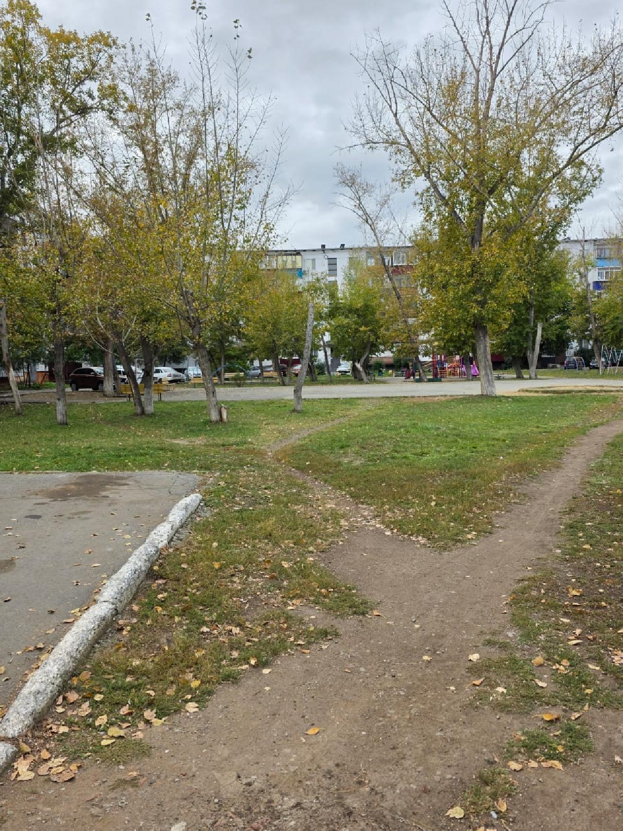 Проект предусматривает установку современной детской игровой площадки во дворе по адресу: 3 микрорайон, дом 15.

Площадка выполнена в ярких цветах и включает следующие элементы:
	•	игровой комплекс с горкой и лазалкой, способствующий физическому развитию детей;
	•	качели для малышей и школьников;
	•	верёвочный комплекс (лазалка) для развития ловкости и силы;
	•	карусель для групповых игр;
	•	песочница для детей младшего возраста;
	•	качалка-балансир;
	•	скамейки для отдыха родителей;
	•	урны для поддержания чистоты.

Особенностью проекта является использование безопасного резинового покрытия, снижающего риск травм при падении. Территория площадки оформлена зелёными насаждениями и декоративными кустарниками, что делает её уютной и привлекательной для семейного отдыха.

Преимущества площадки:
	•	разнообразие игровых зон для детей разного возраста;
	•	безопасное покрытие;
	•	удобные места для родителей;
	•	эстетичный и современный дизайн, гармонирующий с окружающей территорией.