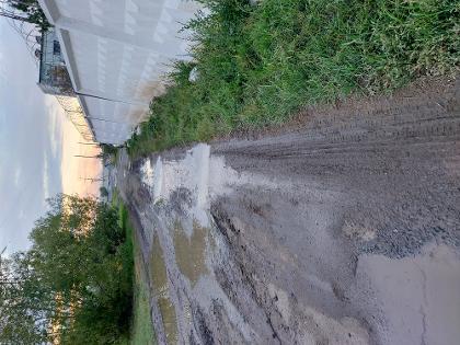 Благоустройство дороги и установка освещения
